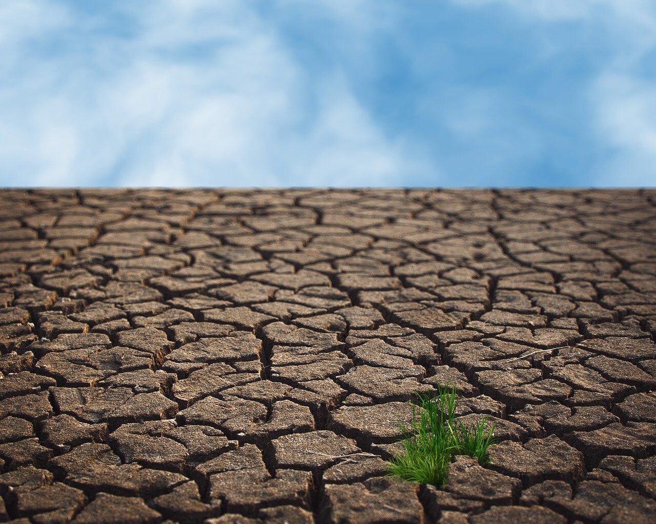drought-7135470_1280