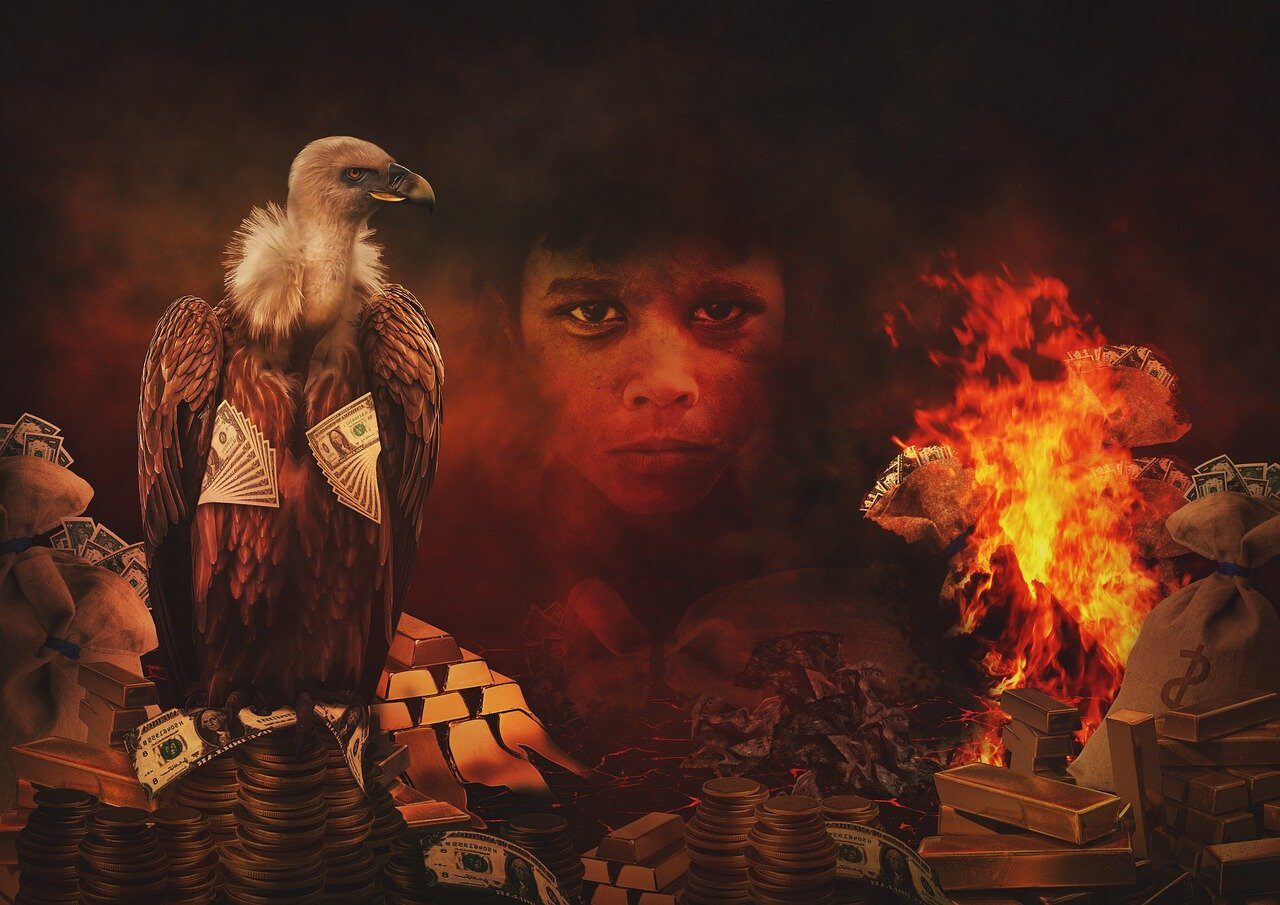 vulture-7342174_1280