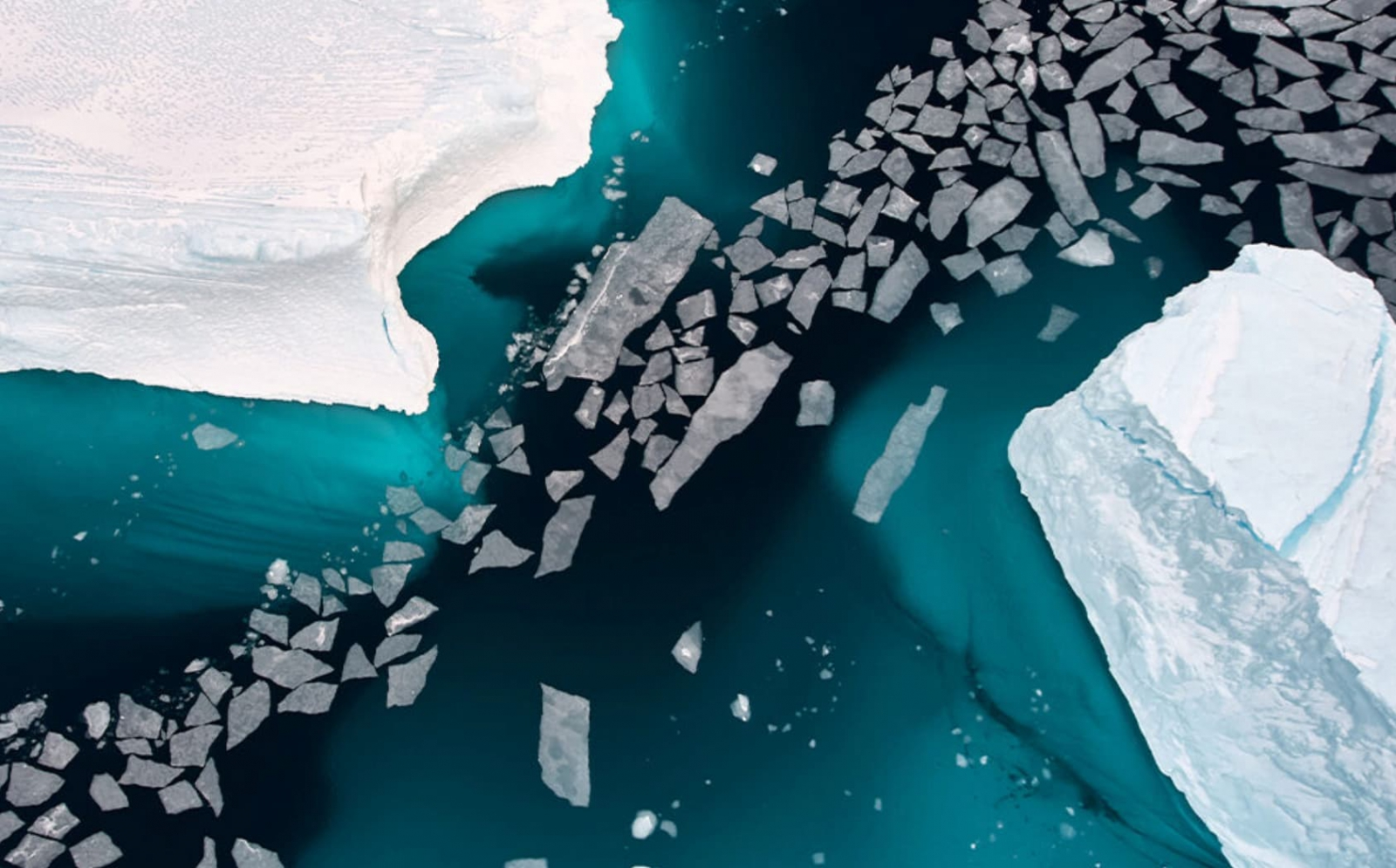Arctic Sea