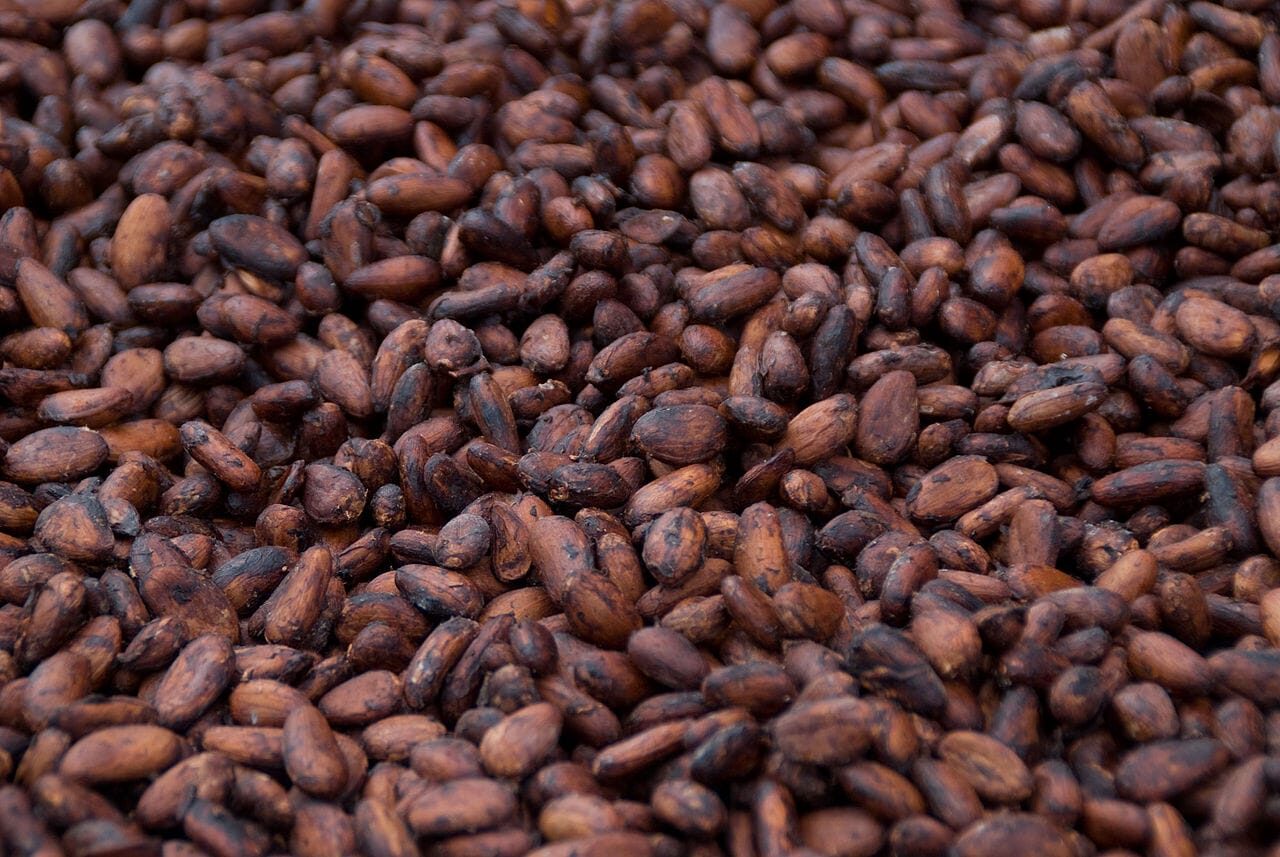 Cacao