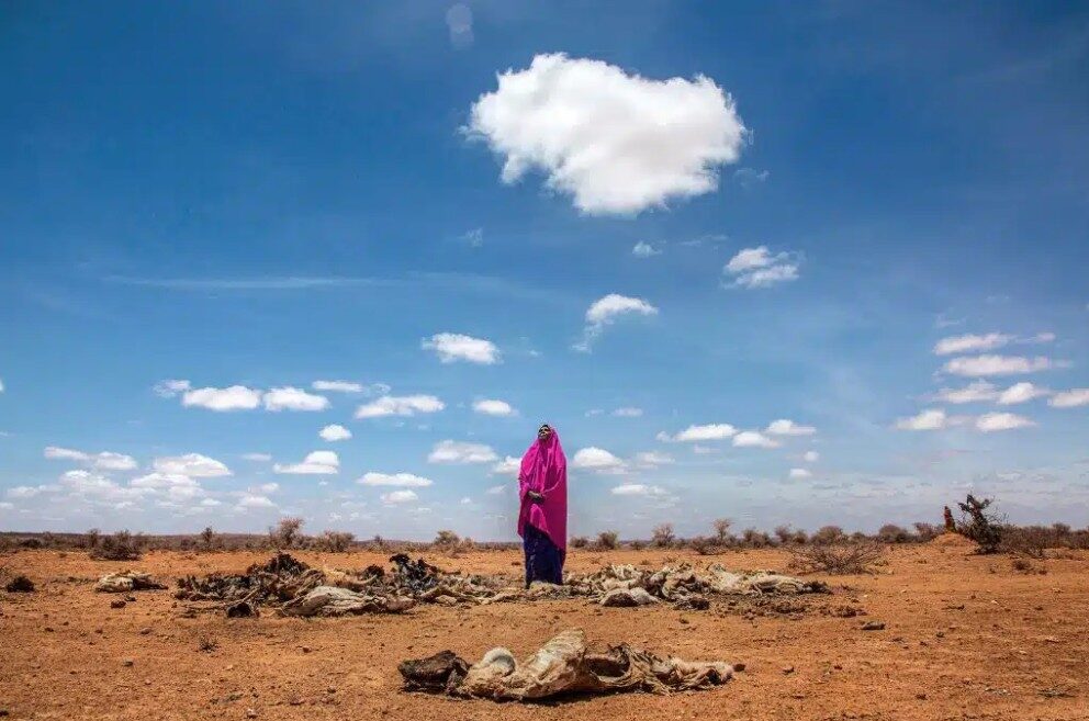 Desertification