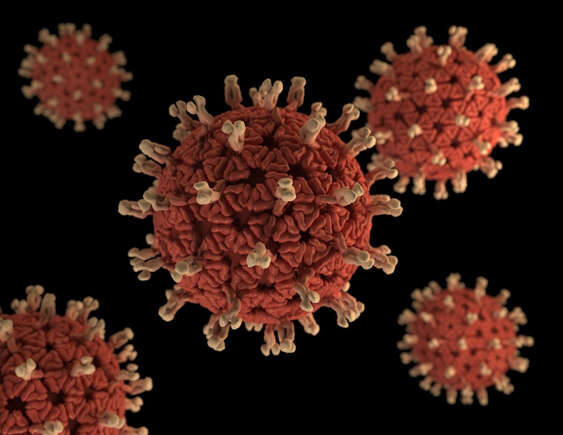 Malaria