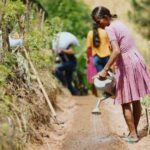 How will climate change shape land markets and farm sizes in the developing world?