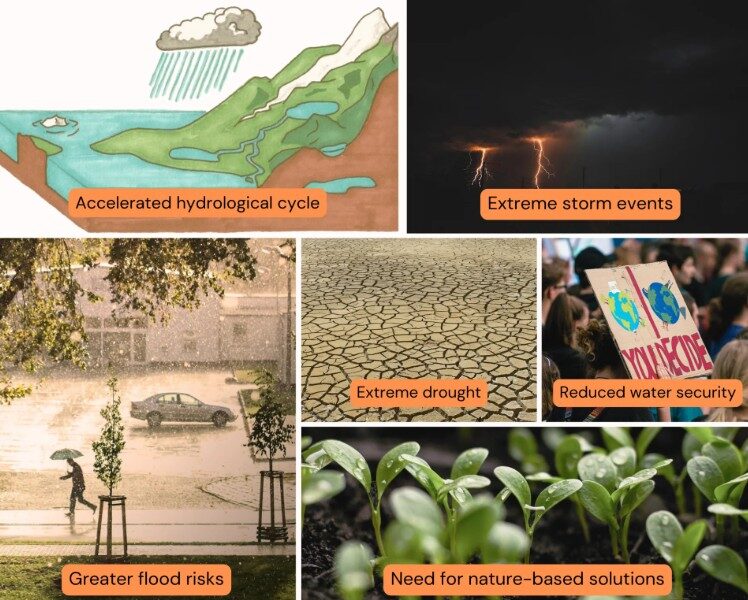 Stormwater management