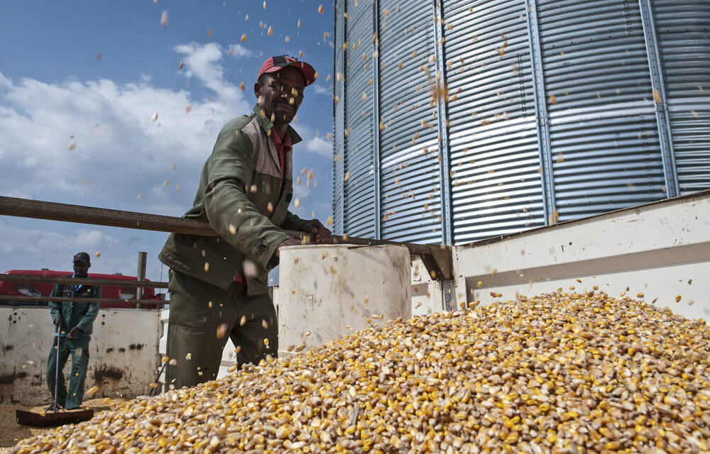 1525cb03-00-the-agricultural-research-council-promotes-national-food-security
