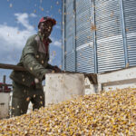 Urgent call from global scientists: climate change threatens health and food security