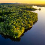 Deep in the Amazon, scientists build a ‘time capsule’ to predict future of climate change