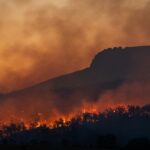 Scholars forge ‘African blueprint’ ahead of climate talks