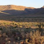 West Africa shows growing leadership in climate change