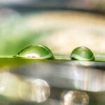 Climate change and well-being: Science academies publish recommendations for G20 summit
