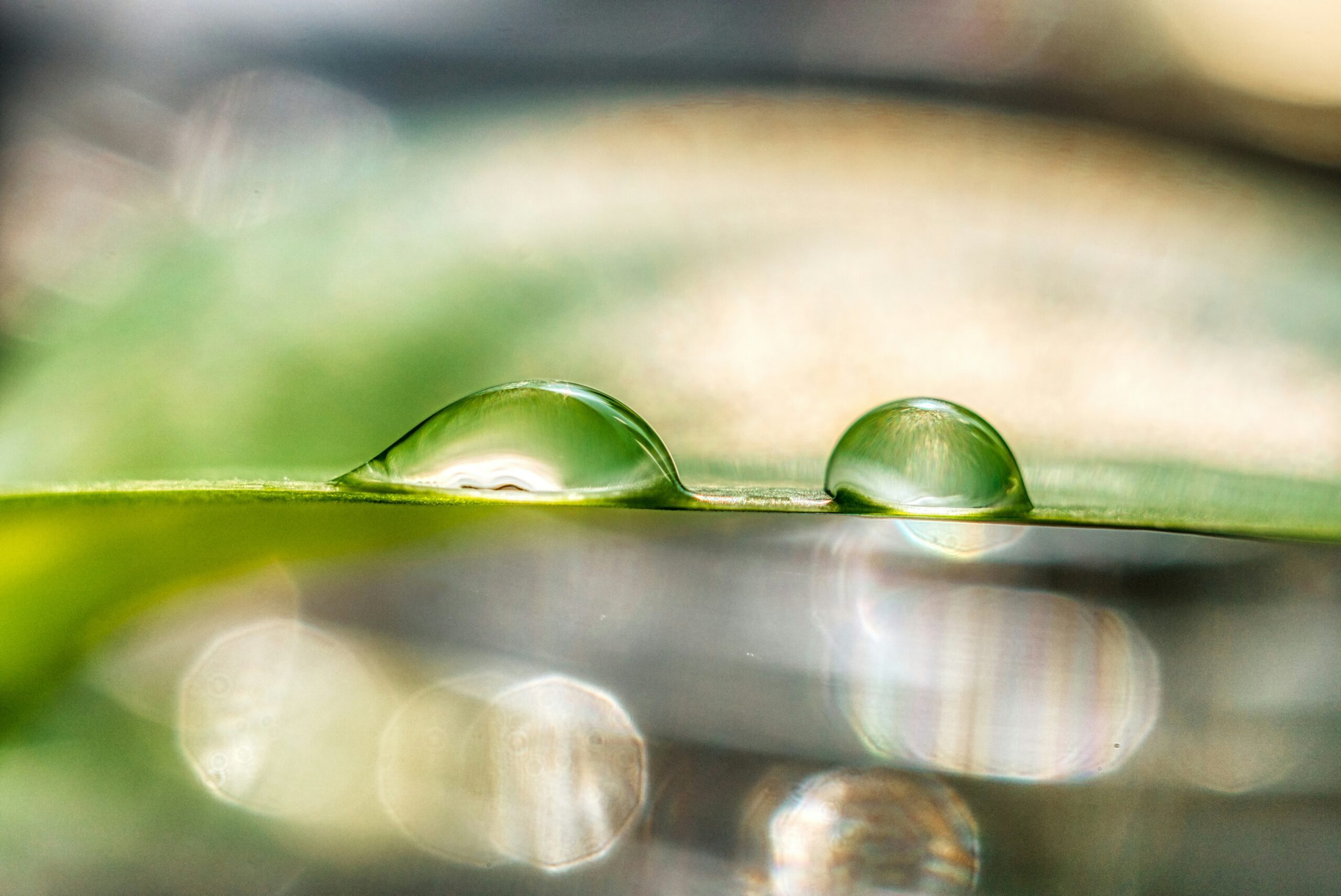 thomas-kinto–k7bxsVTEbc-unsplash